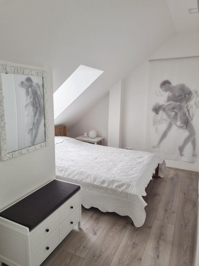 Apartment Gallery Balta Kaunas