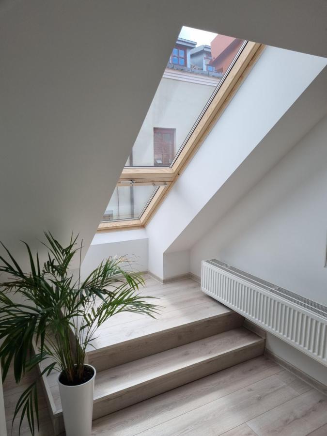 Apartment Gallery Balta *